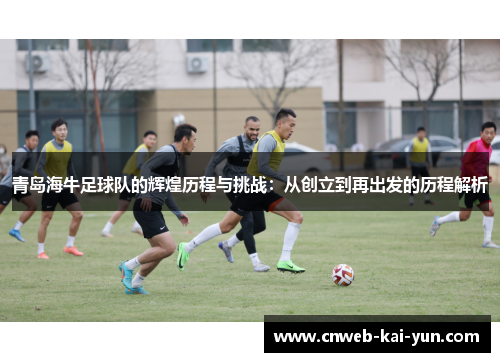 青岛海牛足球队的辉煌历程与挑战:从创立到再出发的历程解析 青岛海牛足球队的辉煌历程与挑战:从创立到再出发的历程解析